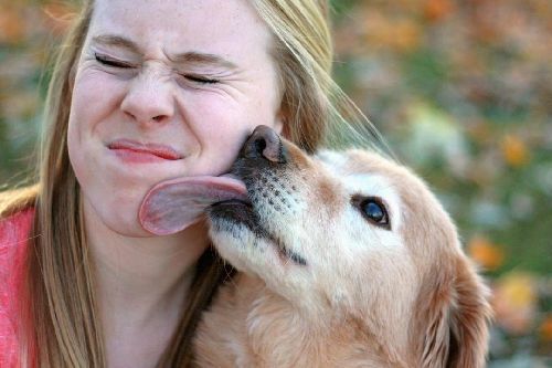 Anjing suka menjilat